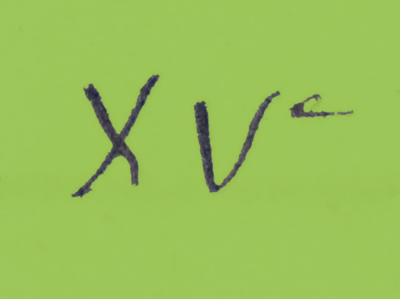 XVe siècle
