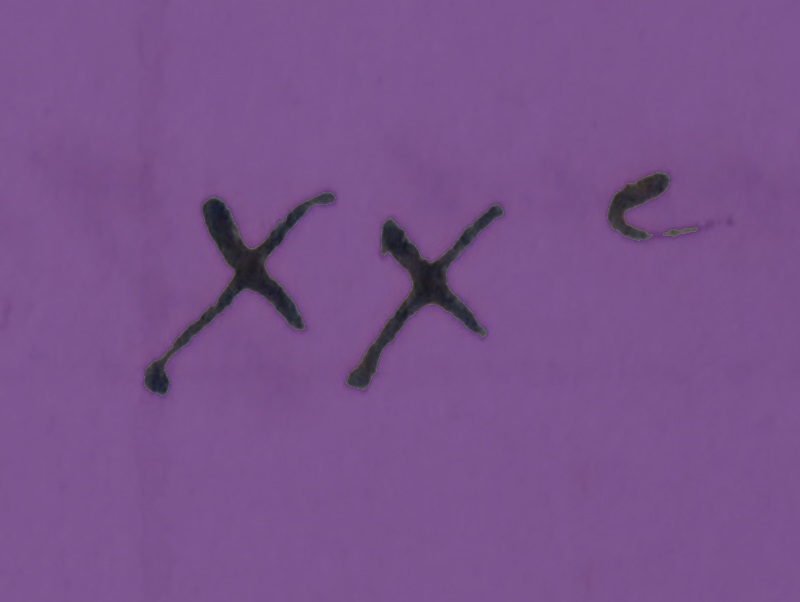 XXe siècle