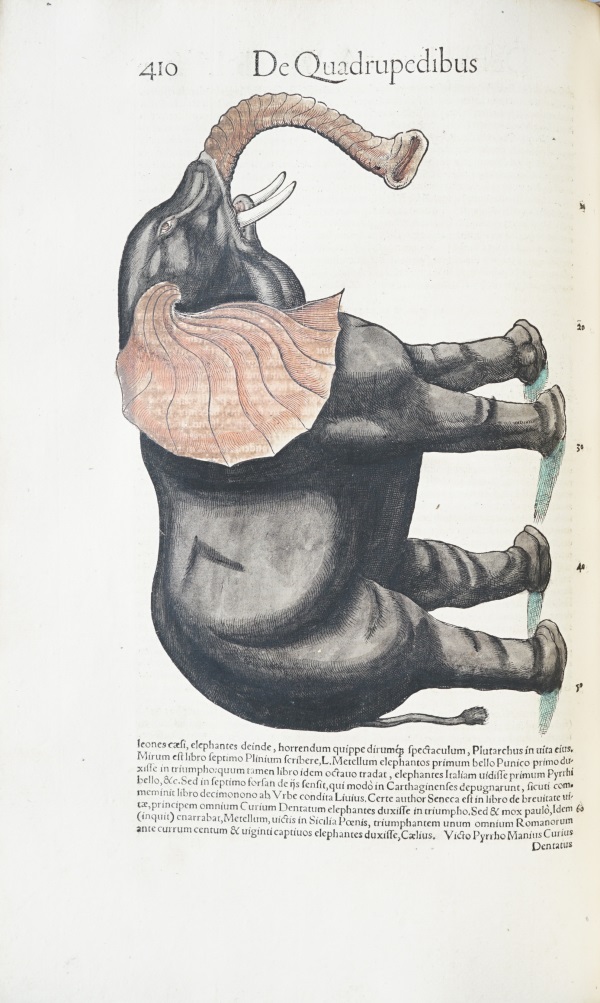 Historia animalium / Conrad Gesner. - Zurich, Christ. Froschover, 1551. - 4 parties en 3 vol. -  [in-folio 234