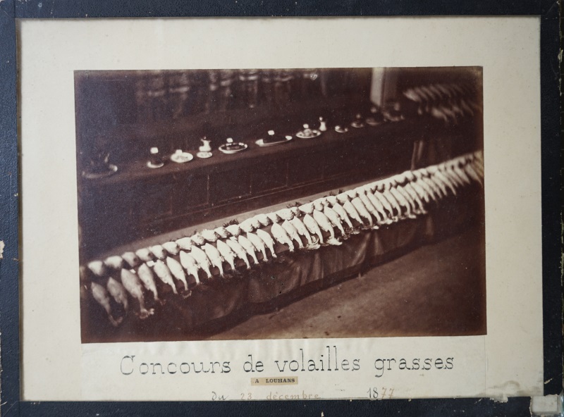 Concours de volailles grasses à Louhans du 18 juillet 1877. - [EST 474